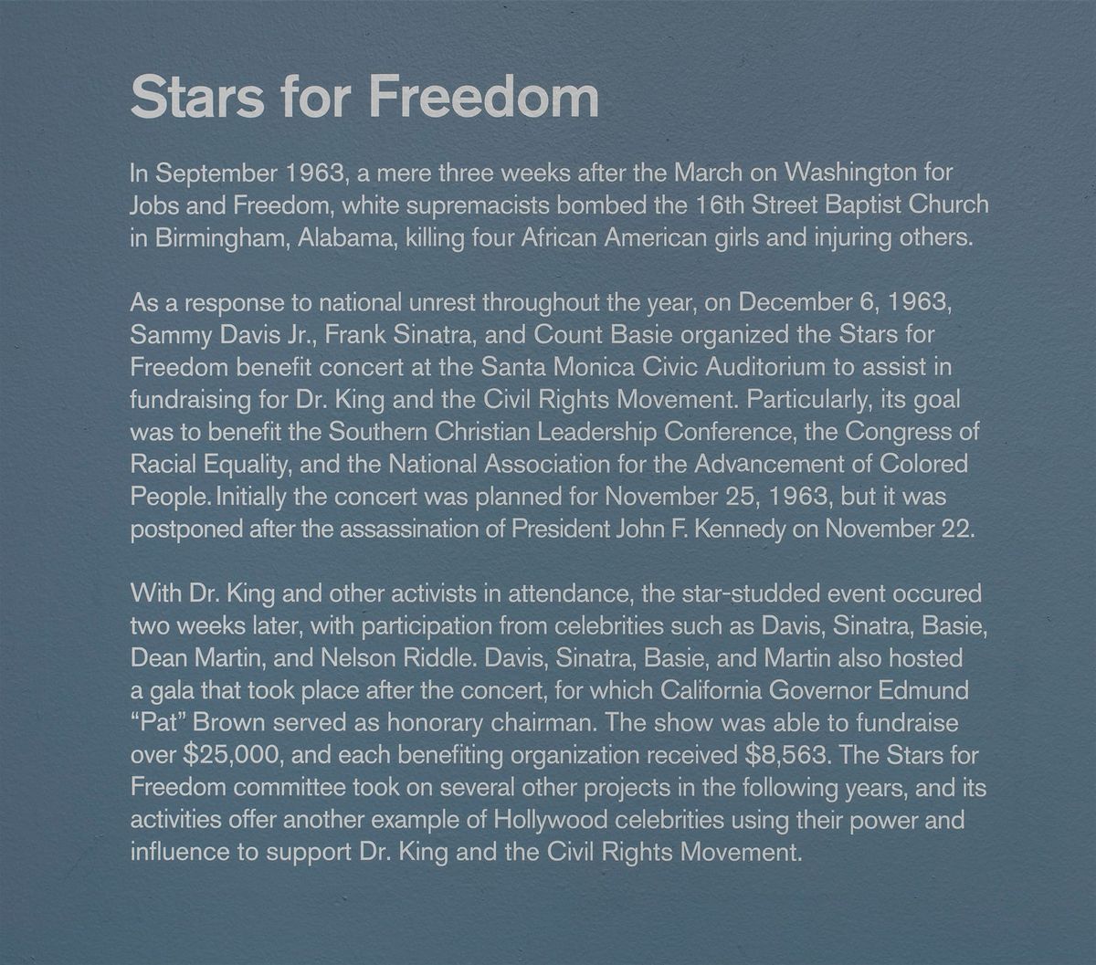 Wall text for Stars for Freedom