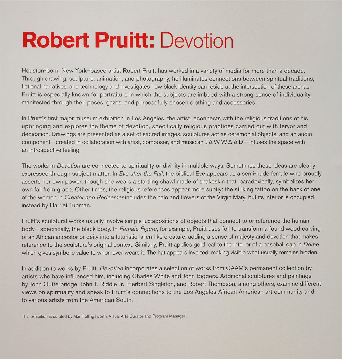 Wall text for Robert Pruitt: Devotion