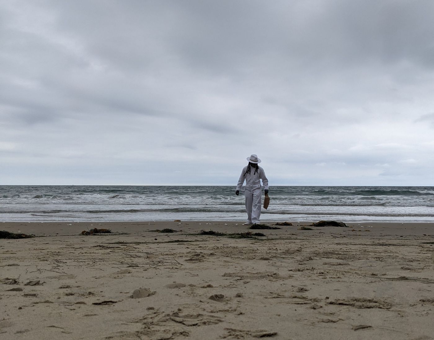 Curatorial Walkthrough: Sage Ni’Ja Whitson: These Walking Glories