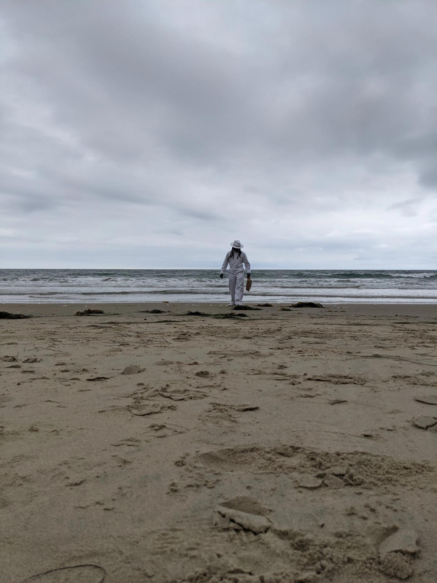 Sage Ni’Ja Whitson: These Walking Glories