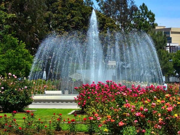 Fountain surrounded by flower bushes at Exposition Park