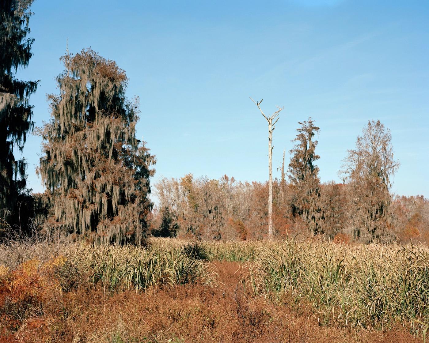 Larry W. Cook photograph of Augusta