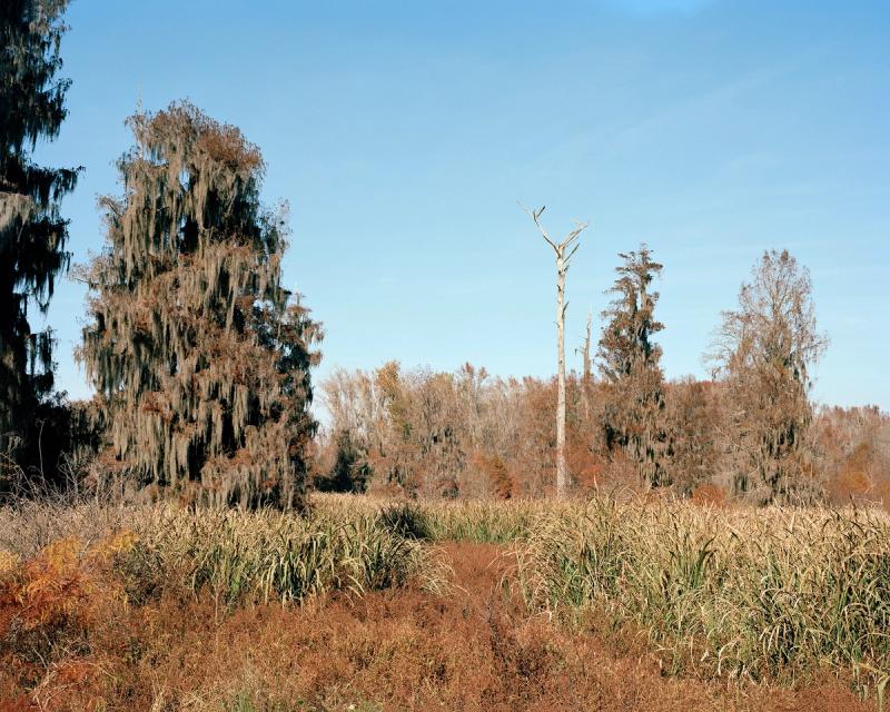 Larry W. Cook photograph of Augusta