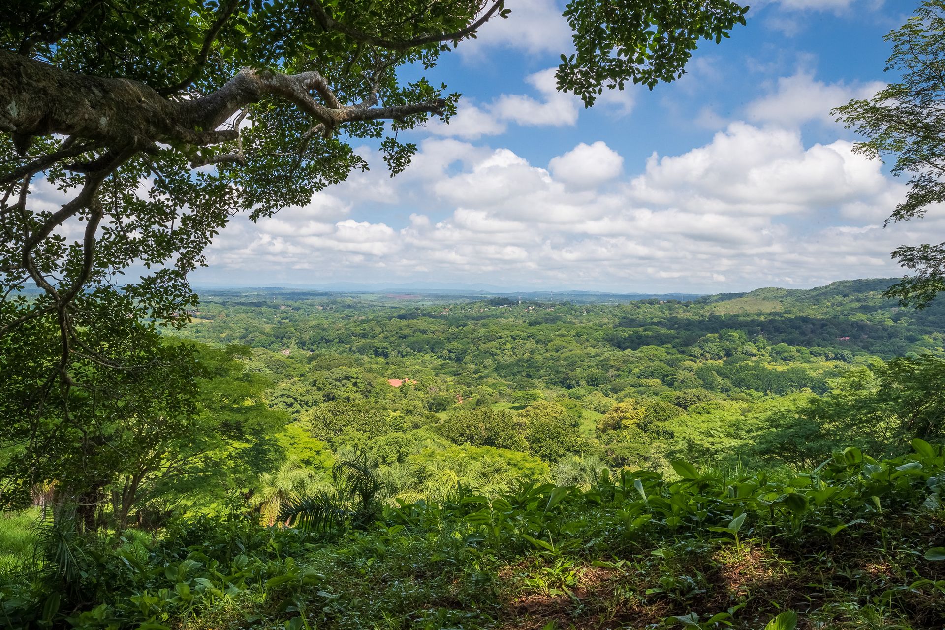 costa-rica-real-estate-ecological-sustainable-la-ecovilla