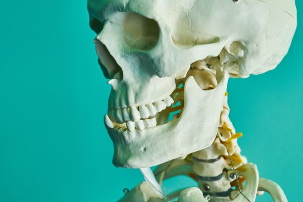 TMJ and the Pelvic Floor connection