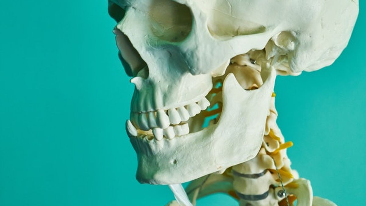 TMJ and the Pelvic Floor connection