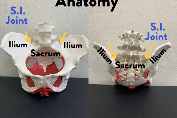 S.I. Joint Dysfunction: The where, what, why, who and when of treatment