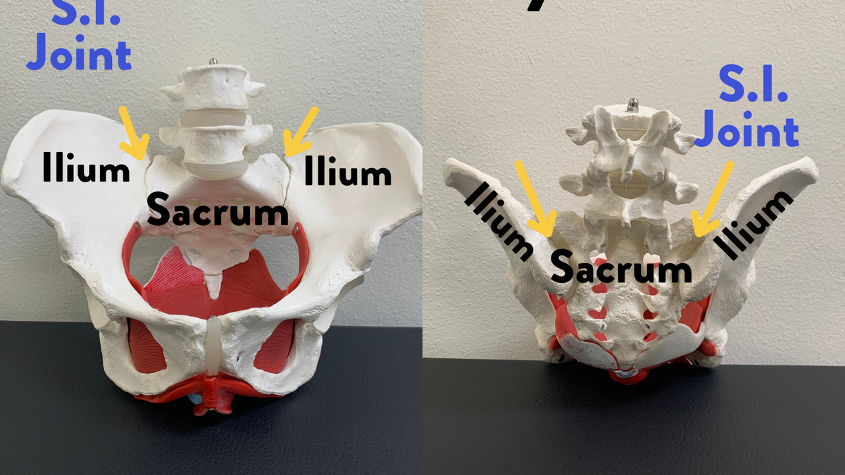 S.I. Joint Dysfunction: The where, what, why, who and when of treatment