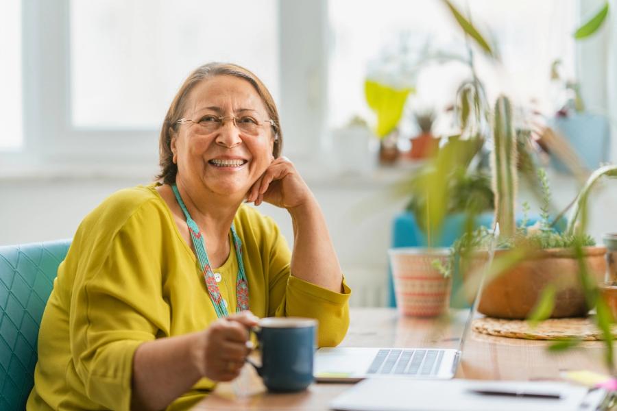 work from home for seniors
