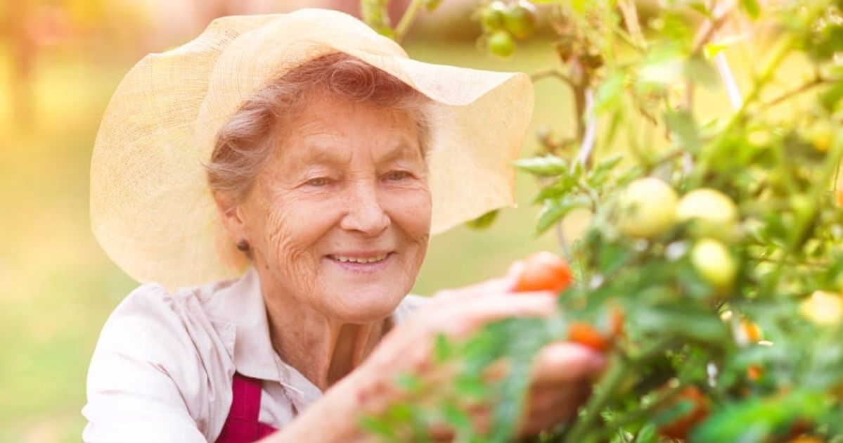 working after retirement