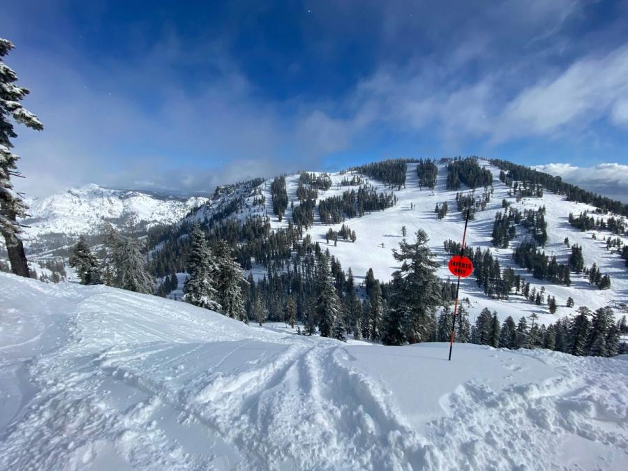 Alpine Meadows Skiing