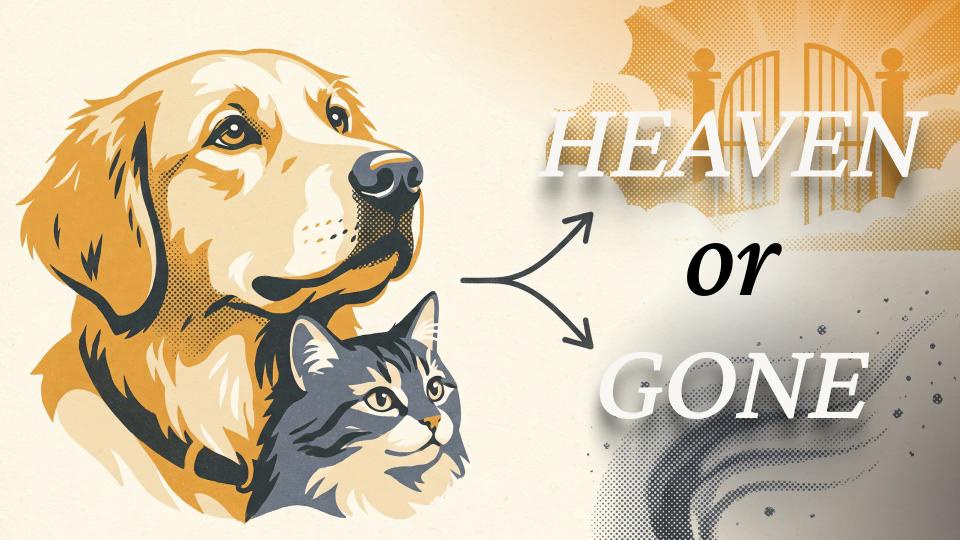 Illustrated cover for Will We See Our Pets Again?