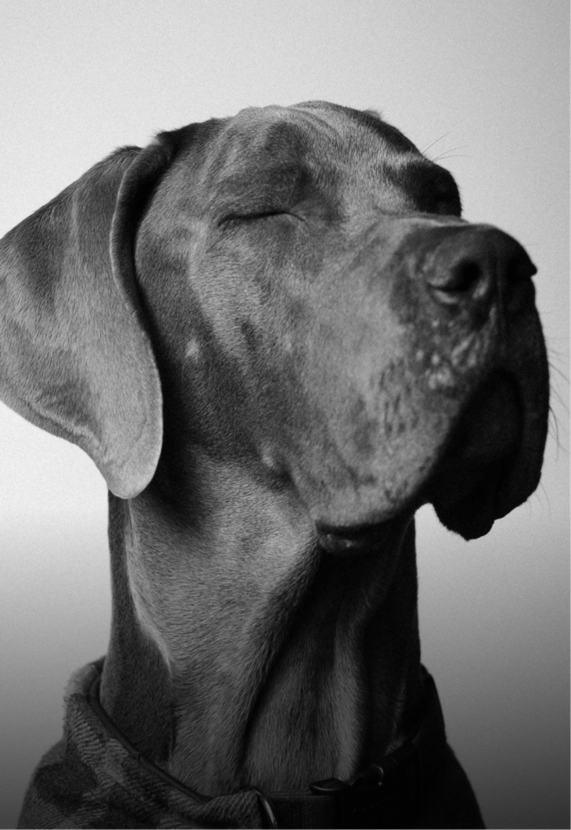 George The Dane