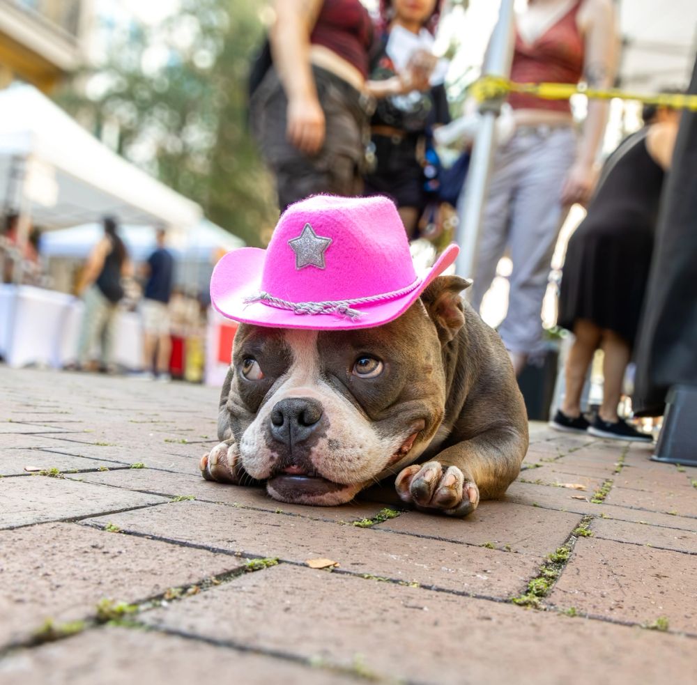 Pet Photography photography by Empowered Visuals — 12