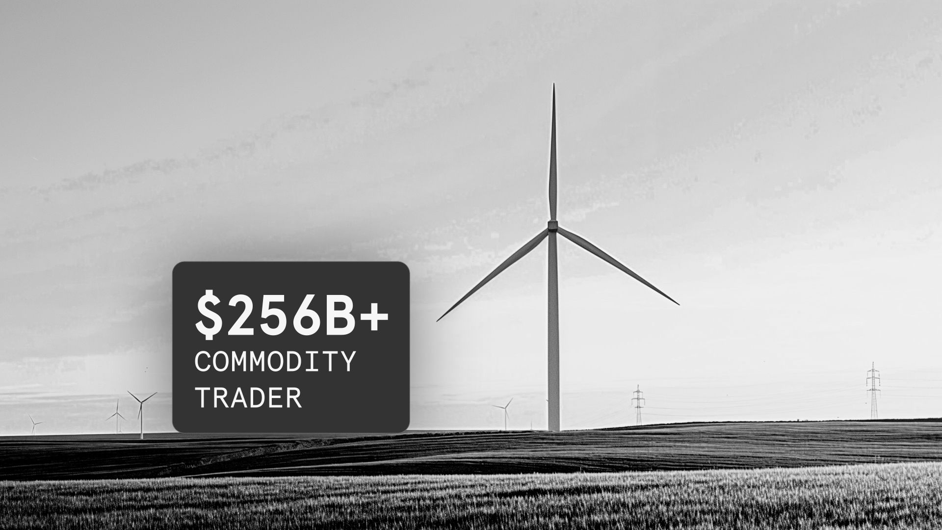 $256B+ Commodity Trader