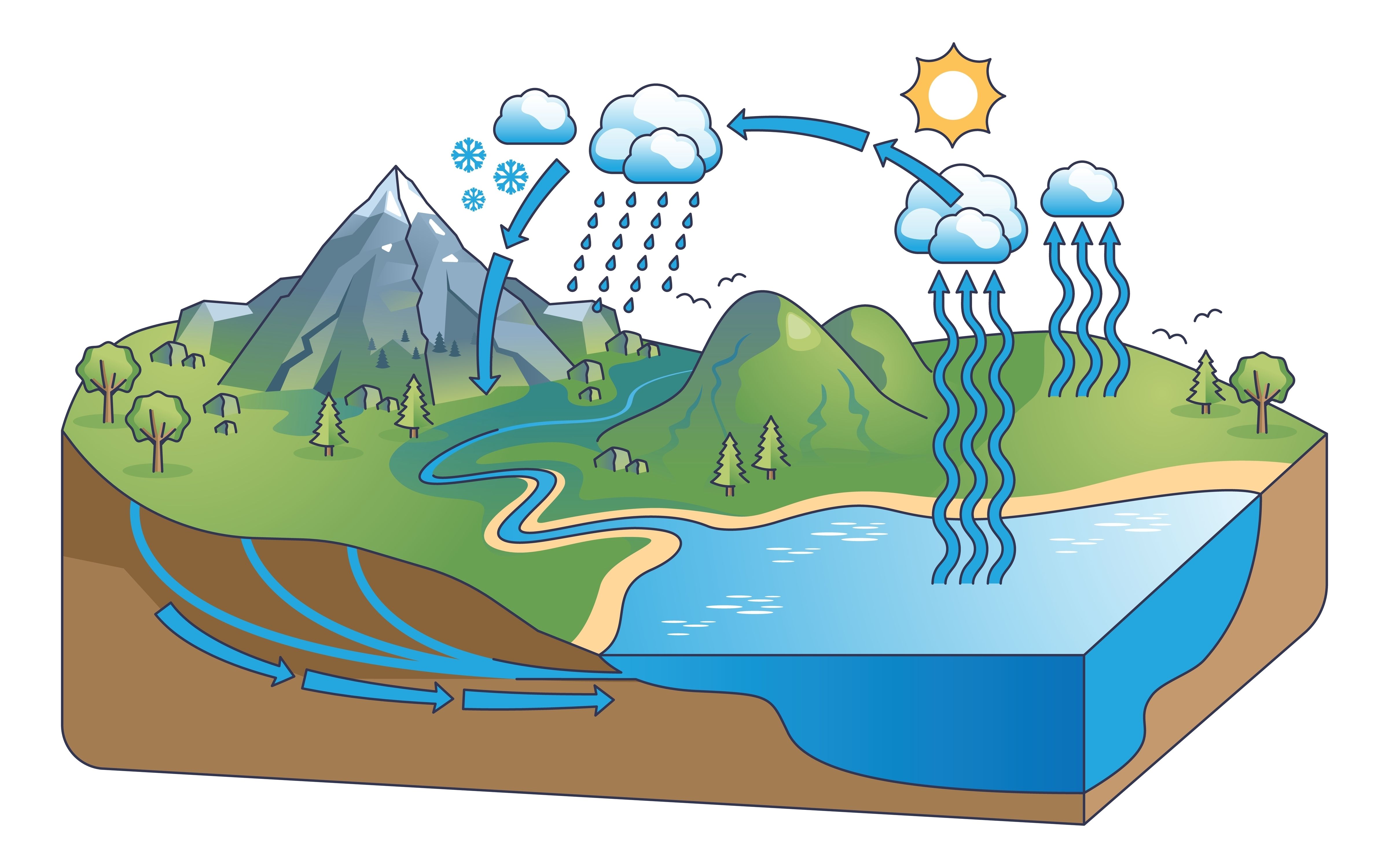 The Water Cycle