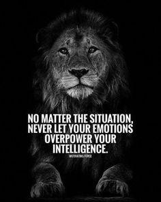 quotes