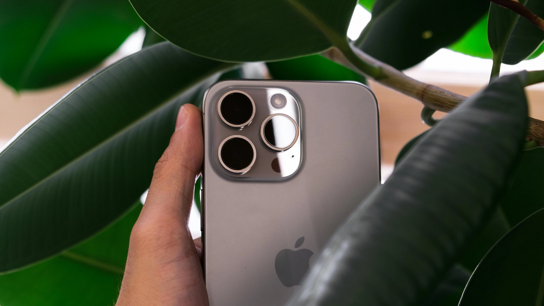 How to Share a Google Calendar on iPhone in 2025