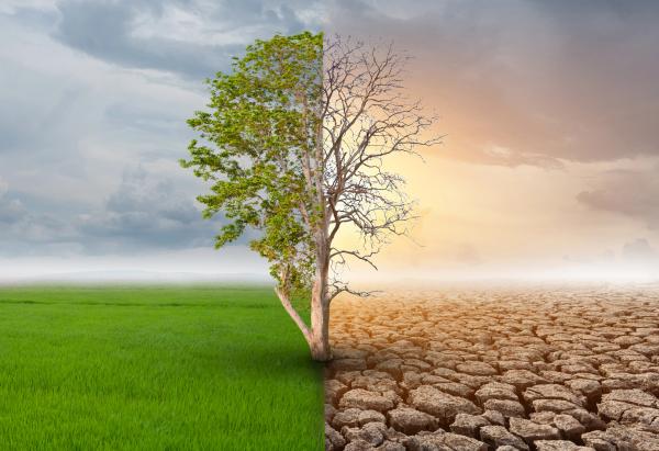 Climate Risk Is Reshaping Home Insurance: What Homeowners Need to Know in 2026