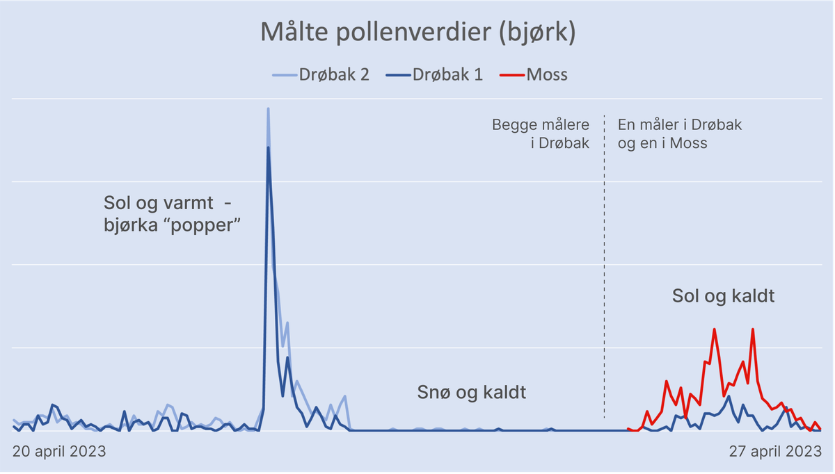 Pollengraf
