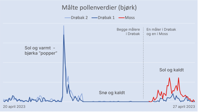 Pollengraf