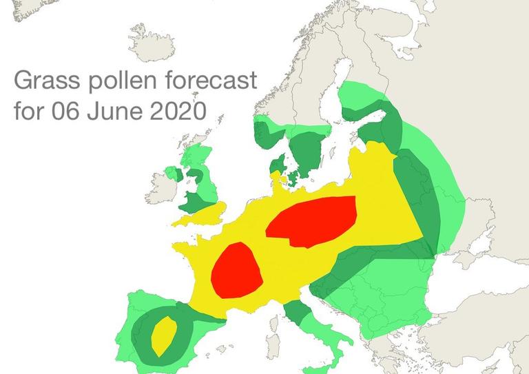 Forecasted grass pollen levels for 6 June 2020.