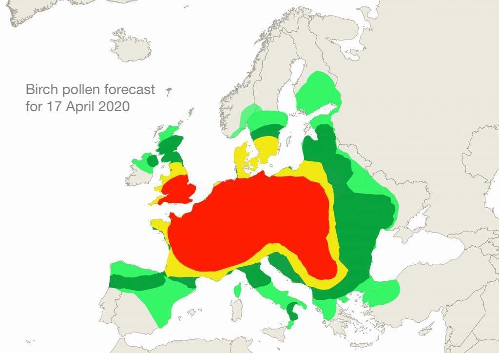 Birch pollen forecast for 17 April 20