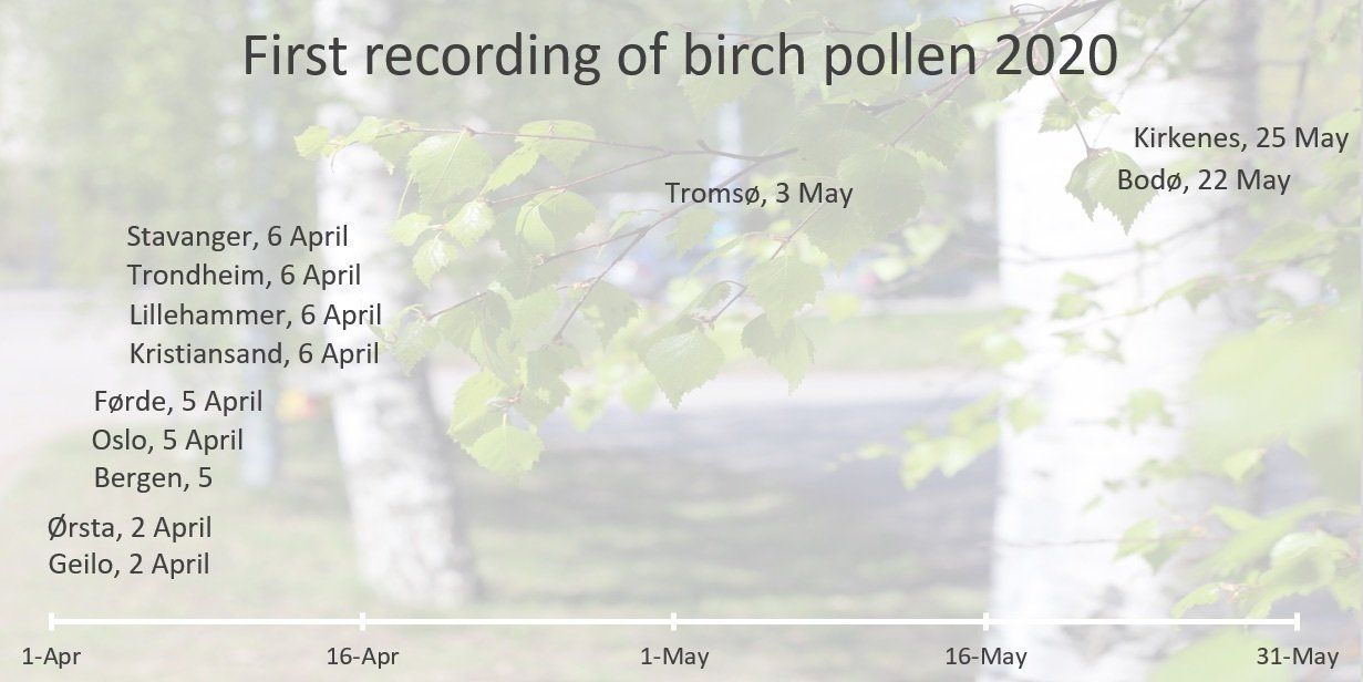 2020 - first birch pollen recordings