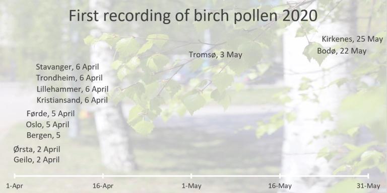 2020 - first birch pollen recordings
