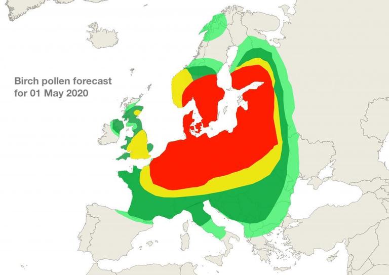 Birch pollen forecast for 01 May 2020