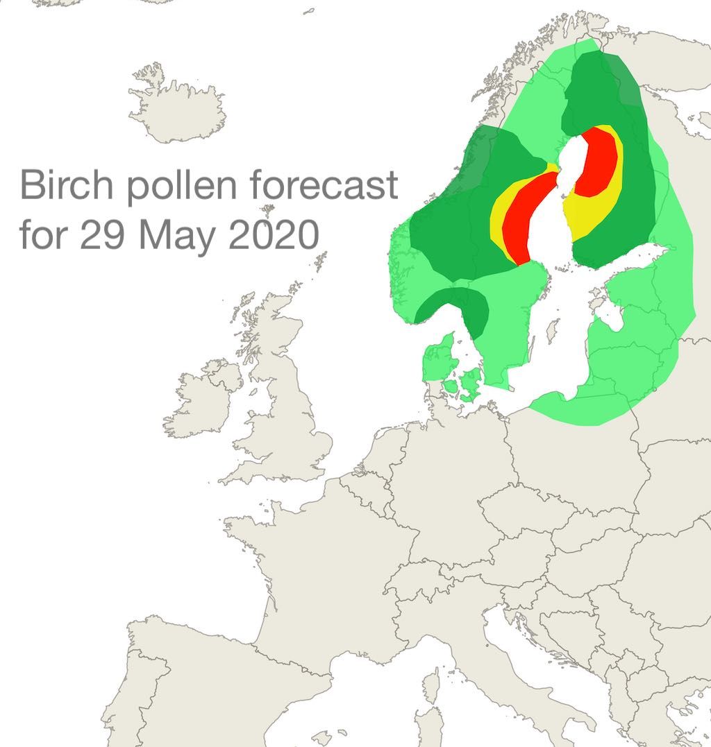Birch_20200529F (1)