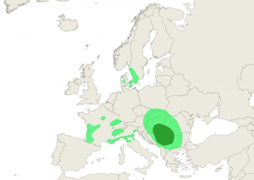 Birch pollen levels forecasted for March 28 2020.
