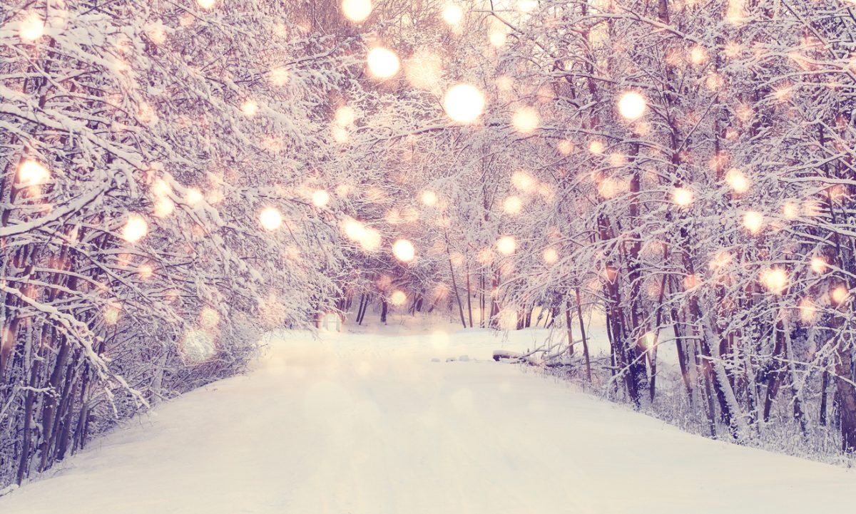 Snø i park
