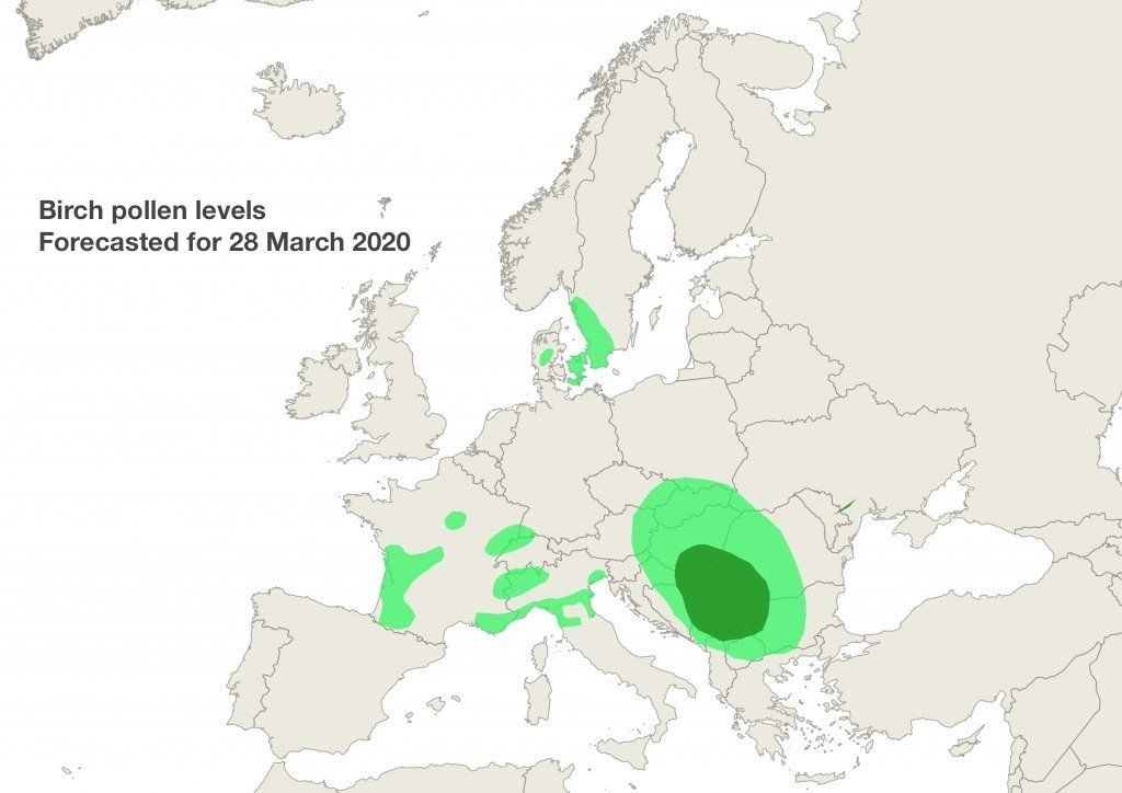 Birch pollen levels forecast 28 March 2020