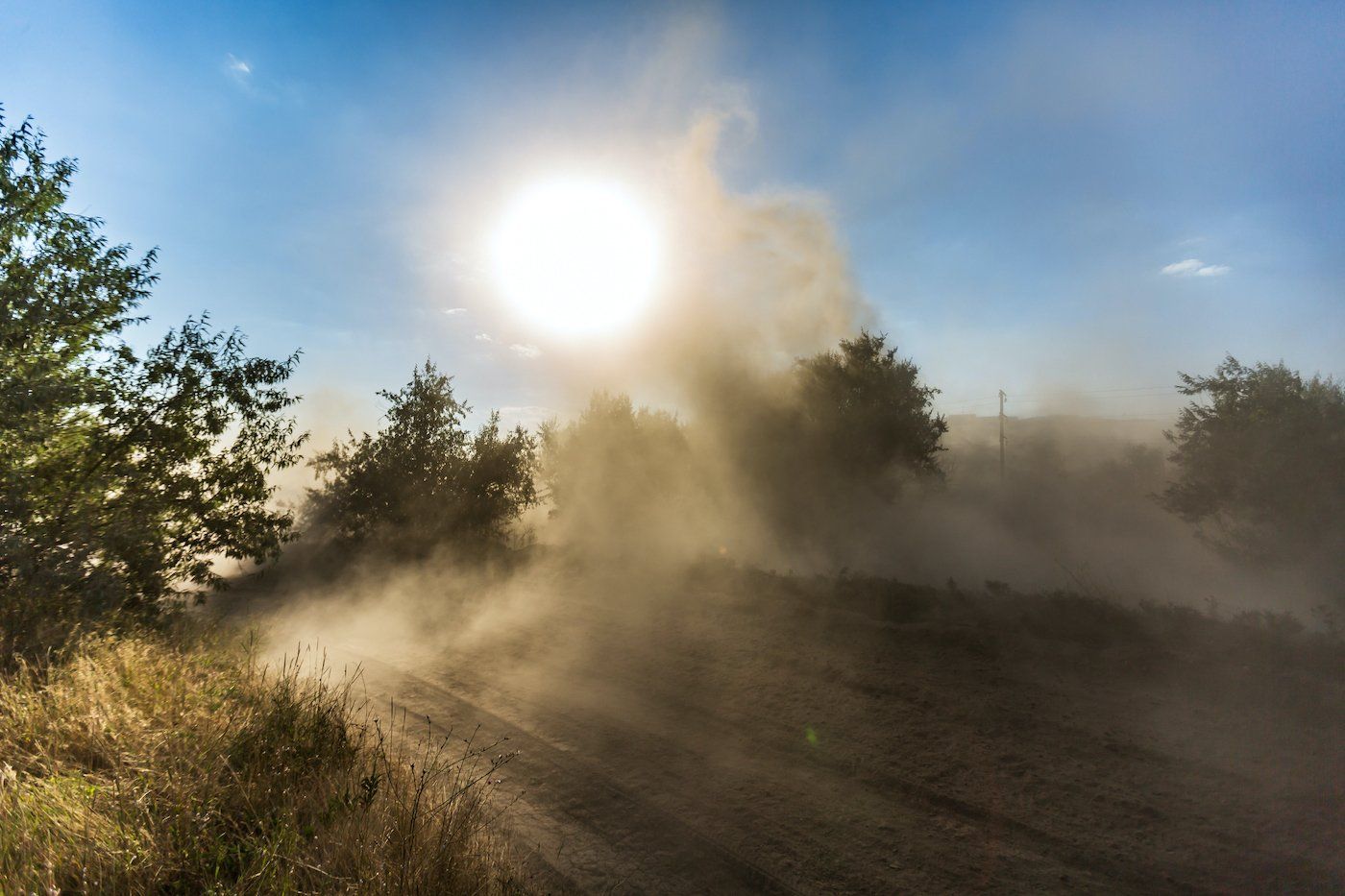 A dusty cloud on the sandy road between the trees, left behind by the vehicle, blocks the sun. Horizontal orientation. High quality photo