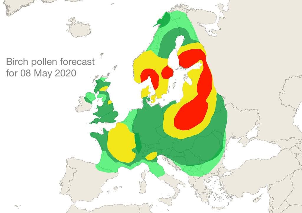 Birch pollen forecast for 08 May 20