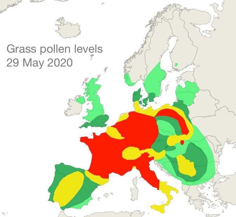 grass pollen 29 May 2020
