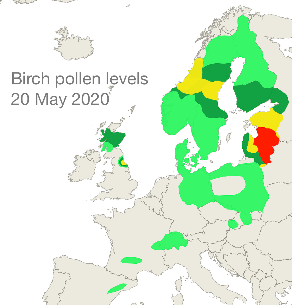 Birch pollen 20 May 2020