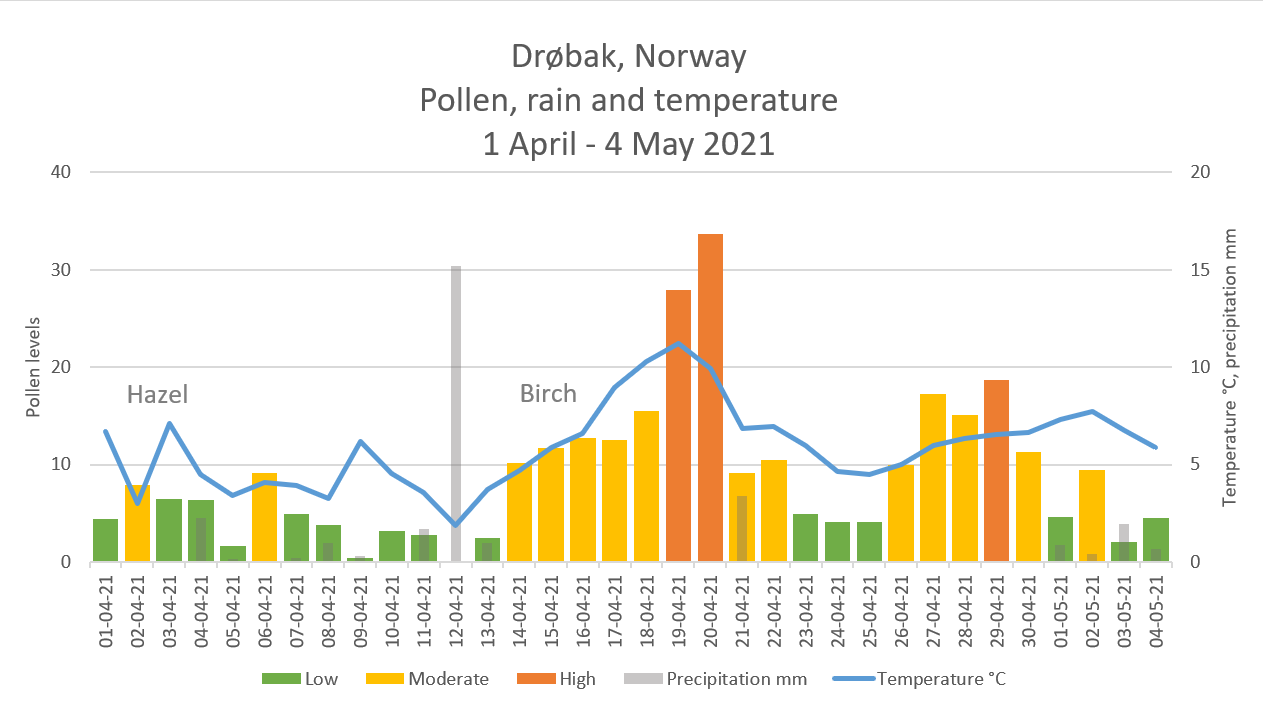 Drøbak pollen and rain - April 2021