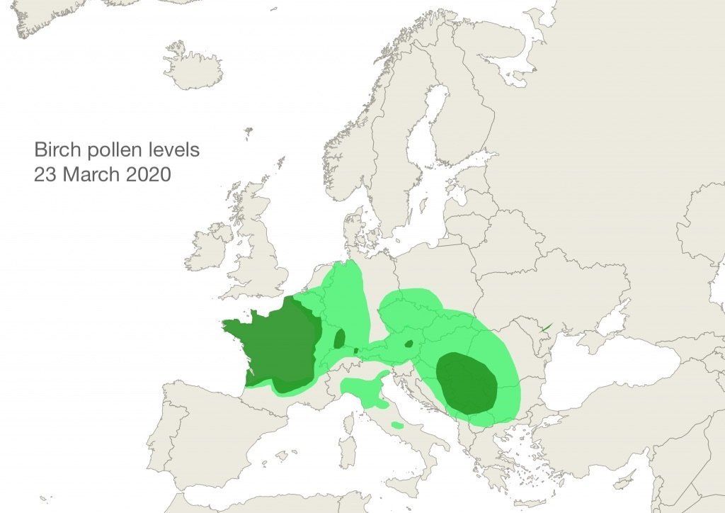 Birch pollen levels 23 March 2020