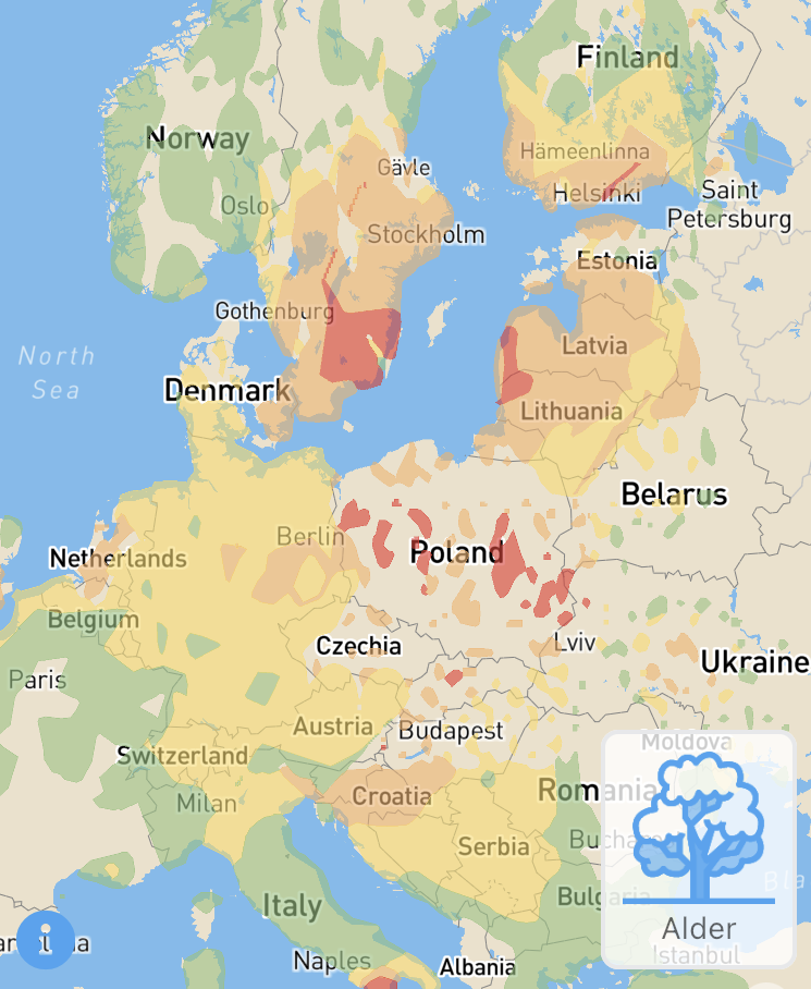Alder Europe 31 Mar 21