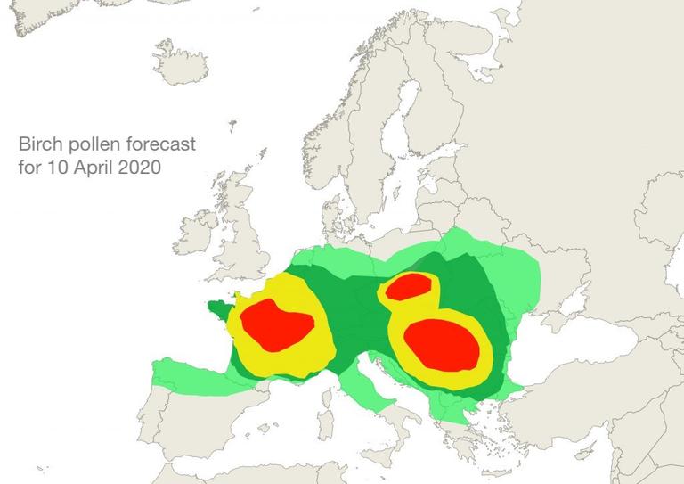 Birch pollen forecast for 10 April 2020