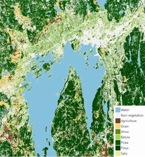 Plant classification Oslo area