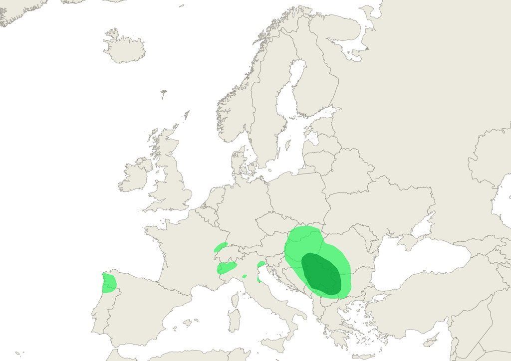Birch pollen Europe 19 March 2020
