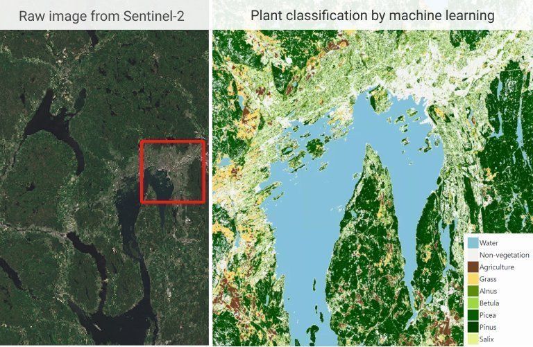 vegetation classification by satellite data