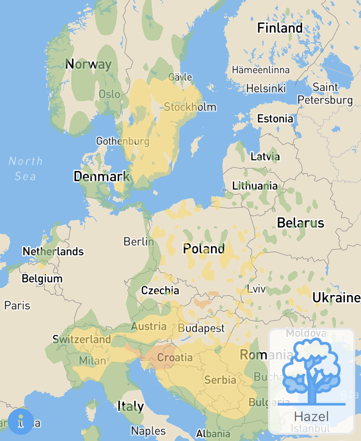 Hazel Europe 31 Mar 21