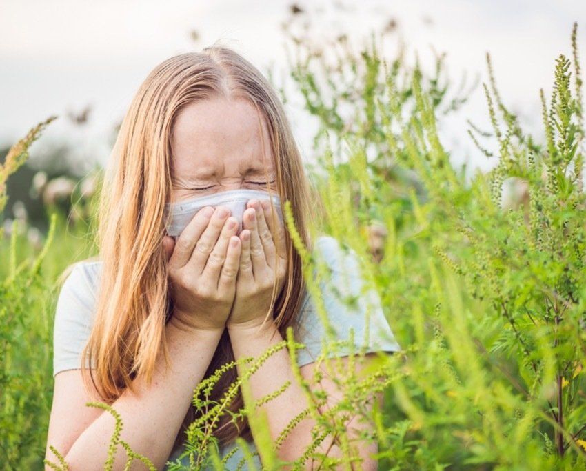 pollen