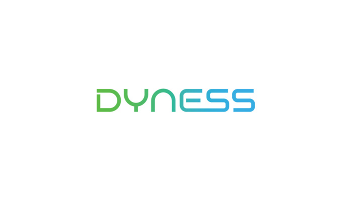dyness logga