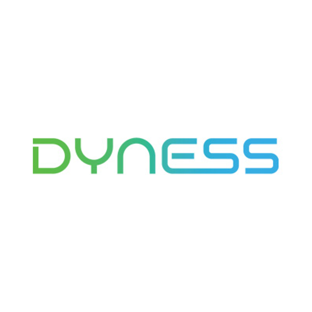 dyness