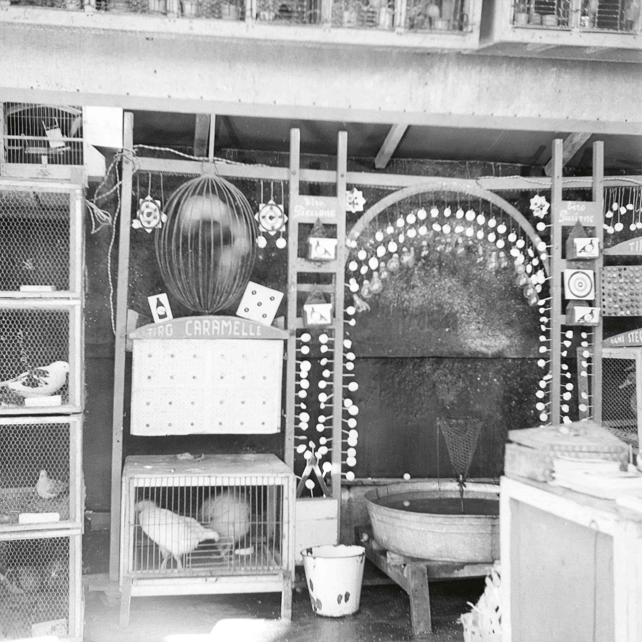 A black and white photograph of a small animal enclosure featuring a birdcage, decorative elements on the wall, and various items displayed on shelves.